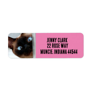 SCHATTIGEE SIAMESE KAT PEEKING RETOURADRESLABELS ETIKET