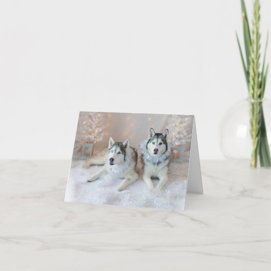 Schattigee Siberische Huskies kerst Kaart (Voorkant)
