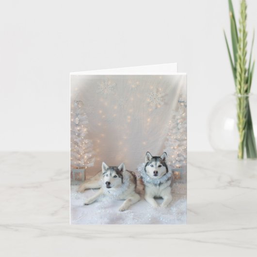 Schattigee Siberische Huskies kerst Kaart (Voorkant)
