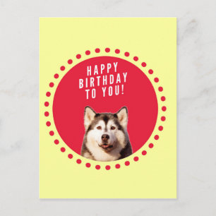 Schattigee Siberische Husky Dog Happy Birthday Briefkaart