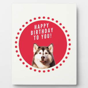 Schattigee Siberische Husky Dog Happy Birthday Fotoplaat