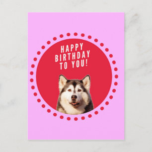 Schattigee Siberische Husky Dog Wishing Happy Birt Briefkaart