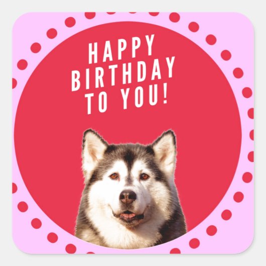 Schattigee Siberische Husky Dog Wishing Happy Birt Vierkante Sticker (Voorkant)