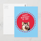 Schattigee Siberische Husky Happy Birthday blauw r Briefkaart (Voorkant / Achterkant)