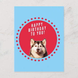 Schattigee Siberische Husky Happy Birthday blauw r Briefkaart