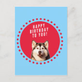 Schattigee Siberische Husky Happy Birthday blauw r Briefkaart (Voorkant)