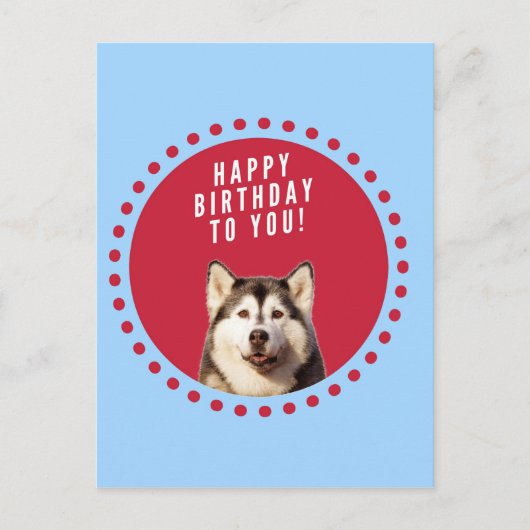 Schattigee Siberische Husky Happy Birthday blauw r Briefkaart (Voorkant)