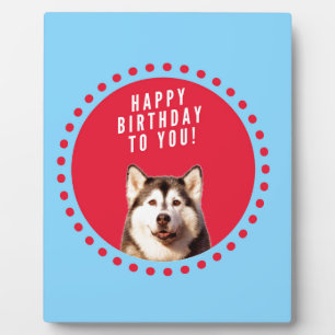 Schattigee Siberische Husky Happy Birthday blauw r Fotoplaat