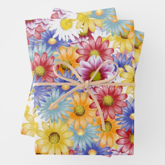 Schattigee sierlijke kleurrijke madeliefjes bloemm inpakpapier vel (In situ)