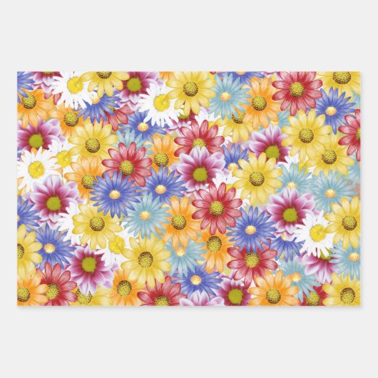 Schattigee sierlijke kleurrijke madeliefjes bloemm inpakpapier vel (Voorkant)