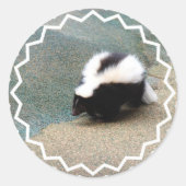 Schattigee Skunk Sticker (Voorkant)