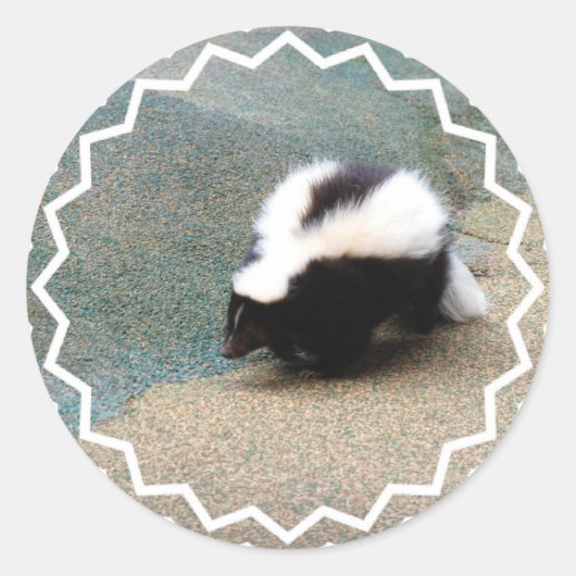 Schattigee Skunk Sticker (Voorkant)