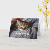 Schattigee Slaaptabby Kattenfoto Verjaardag Kaart (Gele Bloem)
