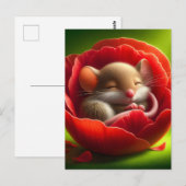 Schattigee slapende muis briefkaart (Voorkant / Achterkant)