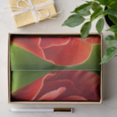 Schattigee slapende muis tissuepapier (Geschenk)