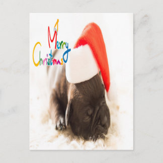 Schattigee slapende pup kerst briefkaart