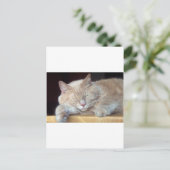 SCHATTIGEE SLAPERIGE KAT BRIEFKAART (Staand voorkant)