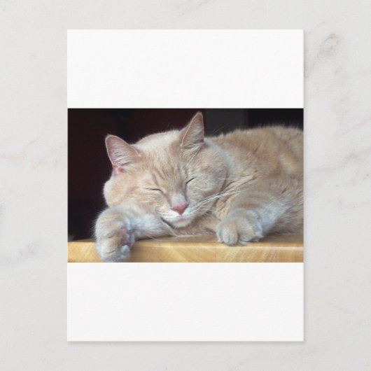 SCHATTIGEE SLAPERIGE KAT BRIEFKAART (Voorkant)