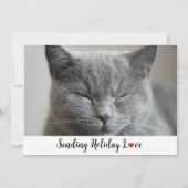 Schattigee slaperige kat verzenden vakantie liefde feestdagenkaart (Voorkant)