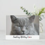 Schattigee slaperige kat verzenden vakantie liefde feestdagenkaart (Staand voorkant)