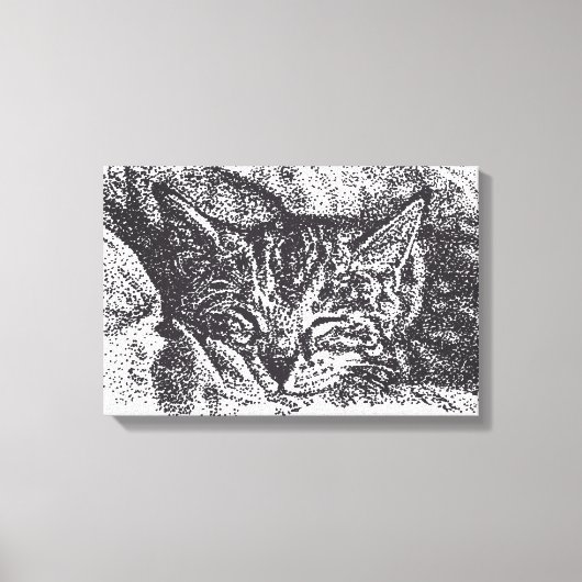 Schattigee Sleeping Cat Drawing Canvas Afdruk (Voorkant)
