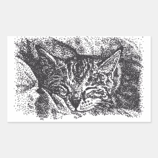 Schattigee Sleeping Cat Drawing Rechthoekige Sticker (Voorkant)