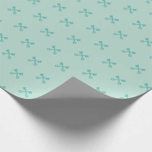 Schattigee sleutels op munt cadeaupapier (Hoek)