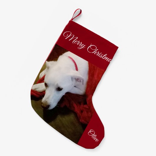 Schattigee Snowy White Lab Mix Hond Kerstkous Kleine Kerstsok (Voorkant (Hangend))