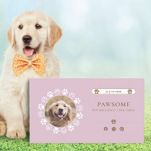 Schattigee Social Media Pet Influencer Dusty Pink