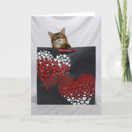 Schattigee Somalische kat in tas Valentijnsdag Kaa Bedankkaart