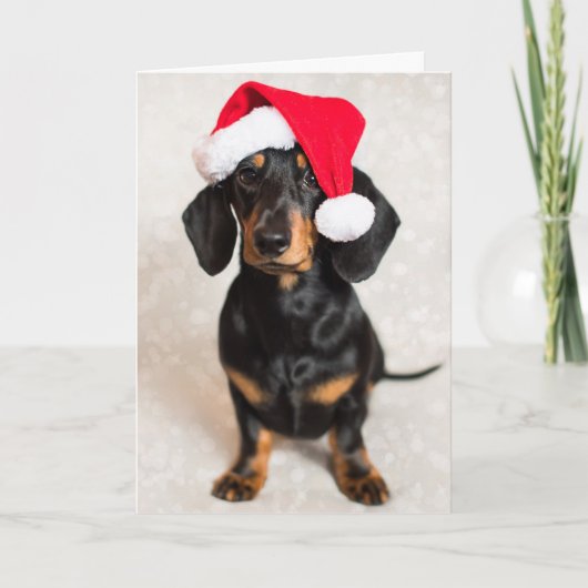 Schattigee Sparkle Teckel Puppy dragen van Kerstmi Feestdagen Kaart (Voorkant)