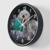 Schattigee speelse Zeeen otters (Hoek)