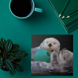 Schattigee speelse Zeeen otters Tegeltje