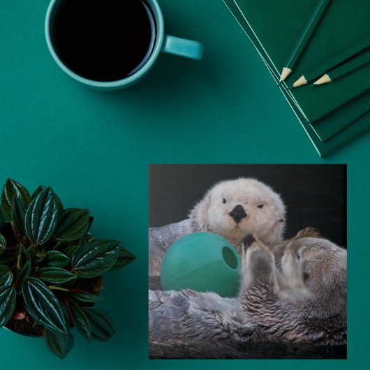 Schattigee speelse Zeeen otters Tegeltje