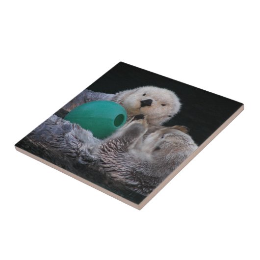 Schattigee speelse Zeeen otters Tegeltje (Zijkant)