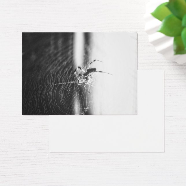 Schattigee spin Tangled Weave | Spider Lover Gift Visitekaartje (Bureau)
