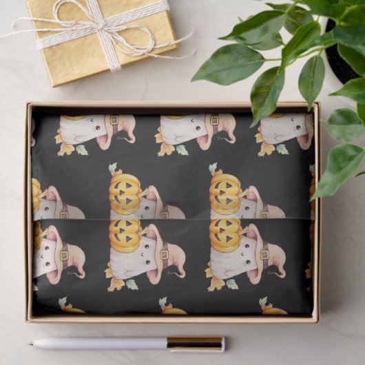 Schattigee spookheksen Pet pompoenpatroon Hallowee Tissuepapier (Geschenk)