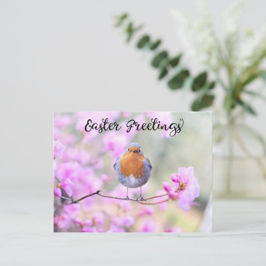 Schattigee Spring Robin Bird Pasen Groeten Bloesem Briefkaart (Staand voorkant)