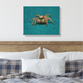 Schattigee springende spin foto canvas afdruk (Insitu (Slaapkamer))