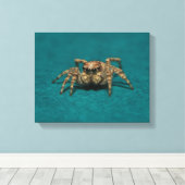 Schattigee springende spin foto canvas afdruk (Insitu (Houten vloer))