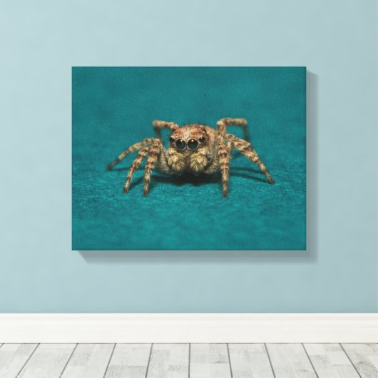 Schattigee springende spin foto canvas afdruk (Insitu (Houten vloer))