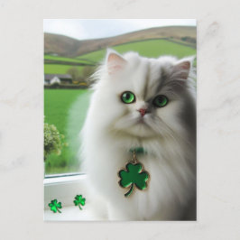 Schattigee St. Patricks Day Cat Briefkaart
