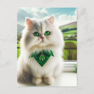 Schattigee St. Patricks Day Cat Fluffy White Cat Briefkaart