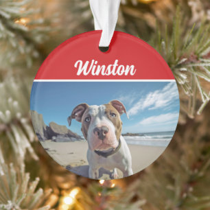 Schattigee Staffordshire Dog Holiday Kerstfoto Ornament