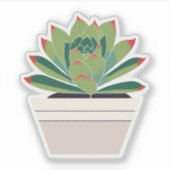 Schattigee succulente Plant Sticker (Voorkant)