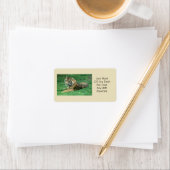 Schattigee Sumatraanse tijger in het grass avery l Etiket (Insitu)