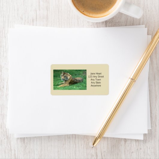 Schattigee Sumatraanse tijger in het grass avery l Etiket (Insitu)