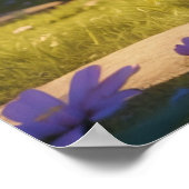 *~* Schattigee Sweet AP68 2:3 Kitten Sinaasappel T Poster (Hoek)