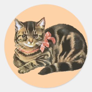 Schattigee Tabby Calico Cat / Kitten Sticker