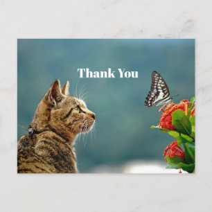 Schattigee Tabby Cat Butterfly Foto Dank U Briefkaart